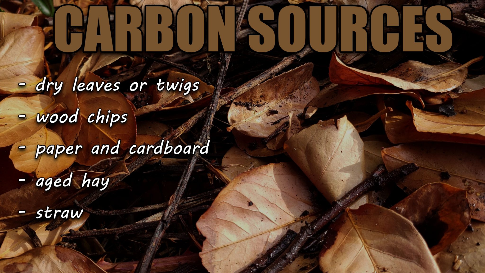 Carbon To Nitrogen Ratio Explained The Ripe Tomato Farms